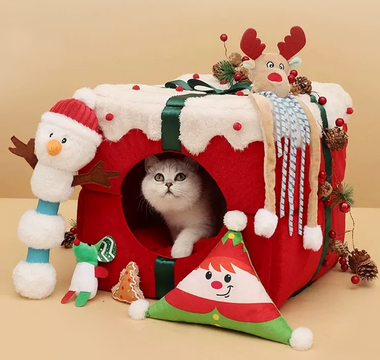 How Do You  Celebrate Christmas with Your Cats？