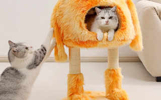 How to Picking the Purrfect Cat Tree for Your Kitty?