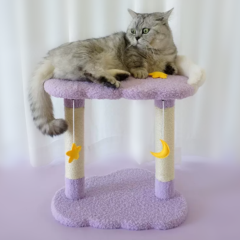 purple star Cat tree Cozy Fluffy Kitten Climbing Small Cat Indoor Activitye