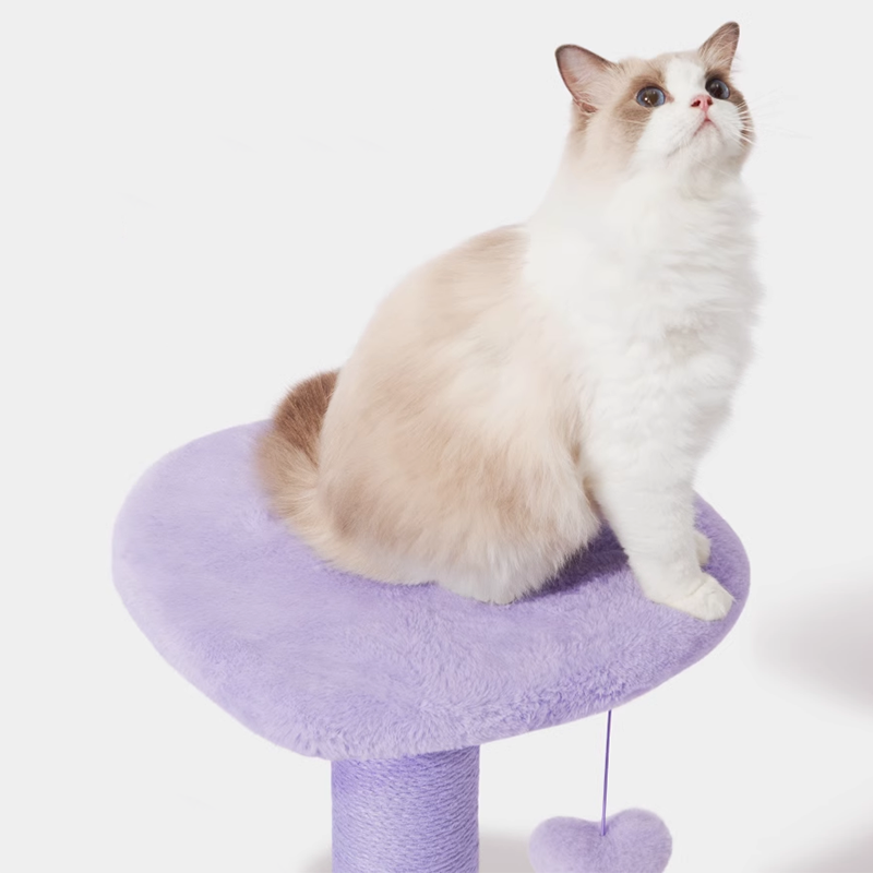 Cat Tree Heart purple Cat Climber (Two Platforms)，for Cats with Heart Shaped Platform