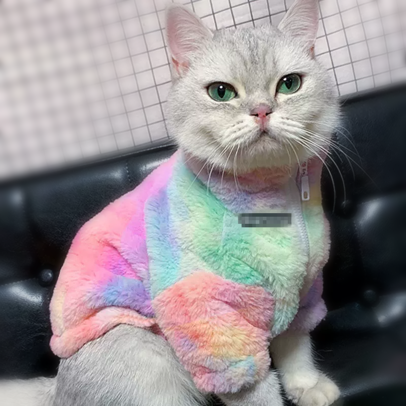 Rainbow Series Tie-Dye Cat Clothes Warm Pet Clothes Great photo props